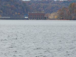 Marina 1 LLC seeks to have suit against Lake Lynn Generation returned to circuit court